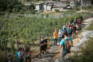 Evento Viva valtellina