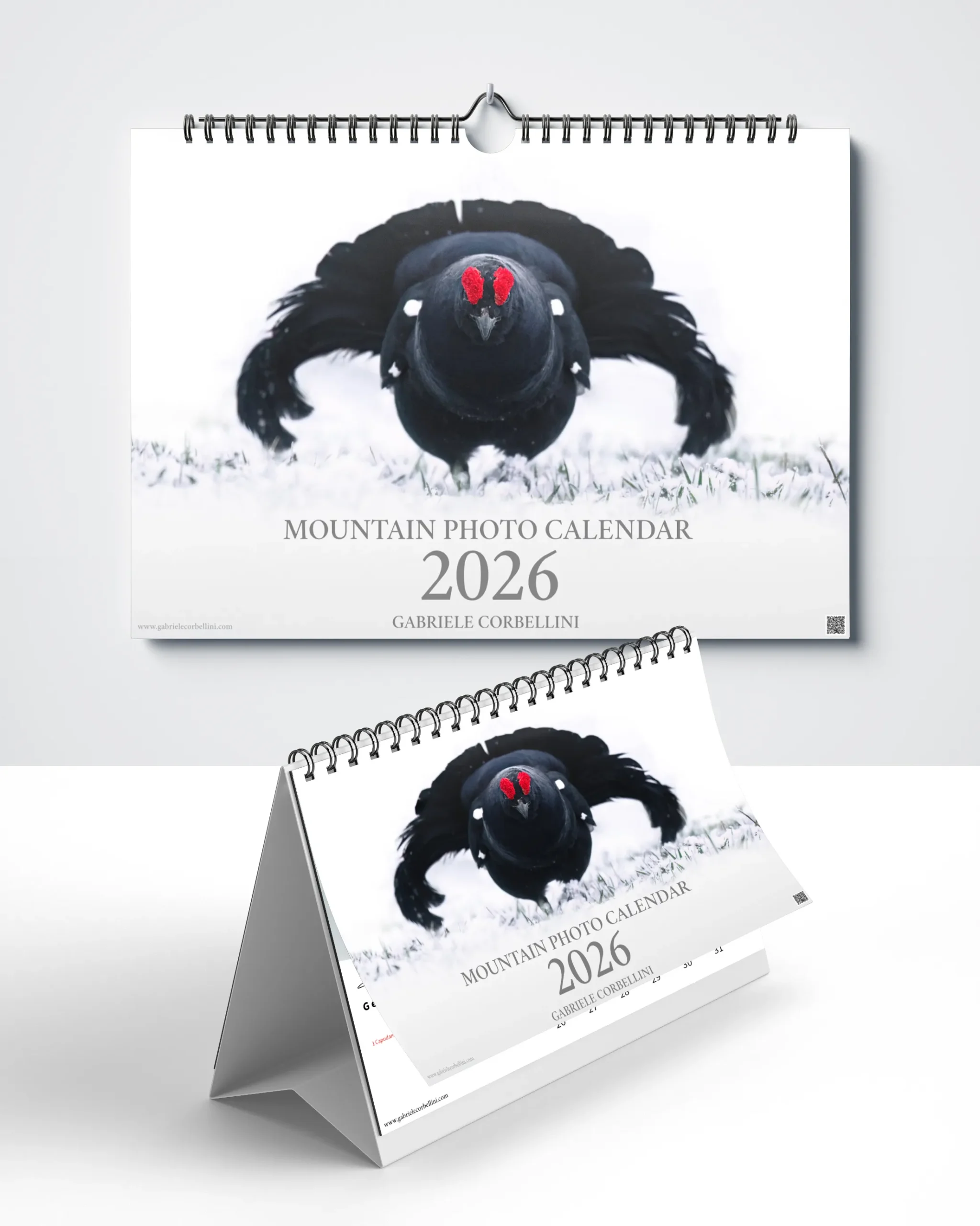 calendario 2026 - Gabriele corbellini - idea regalo