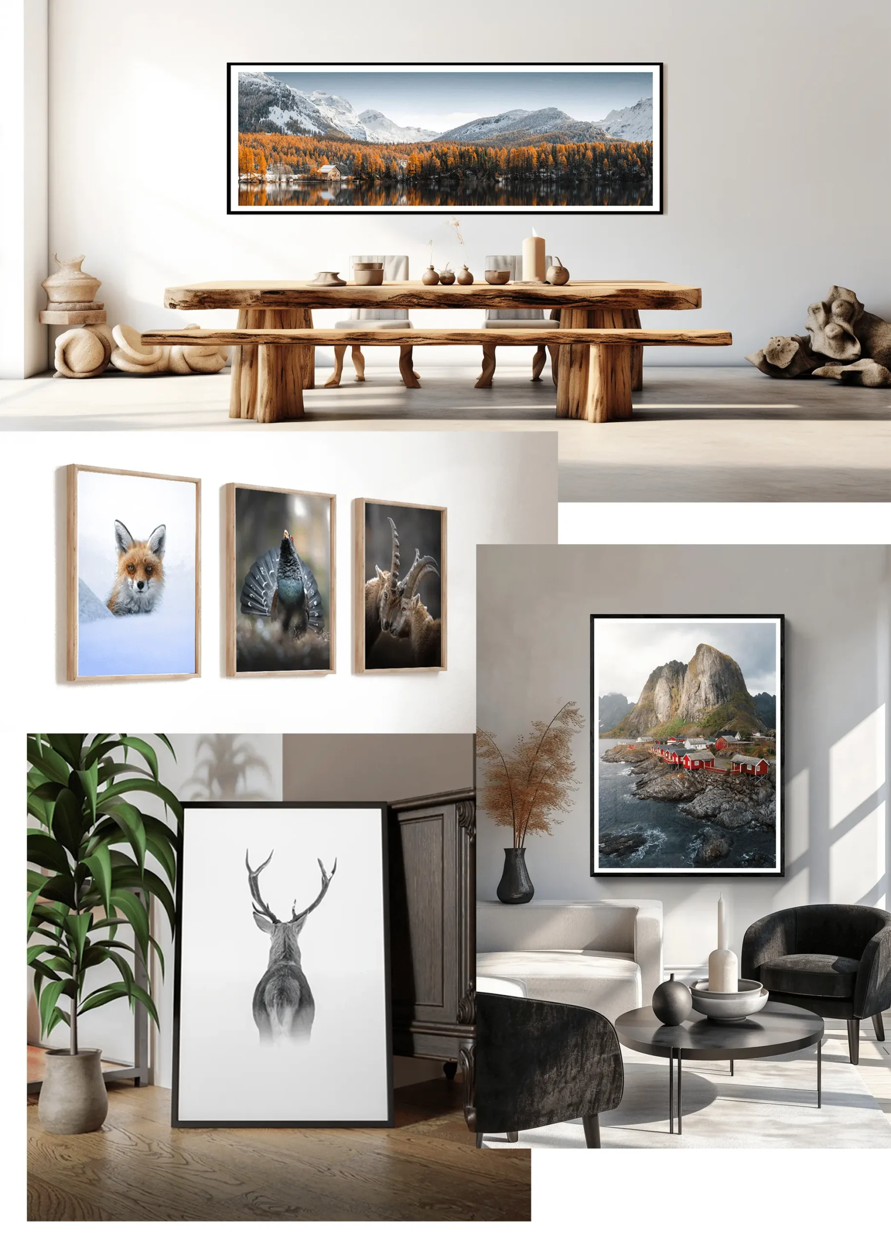 Stampe fotografiche per la casa