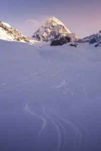 gran zebru invernale