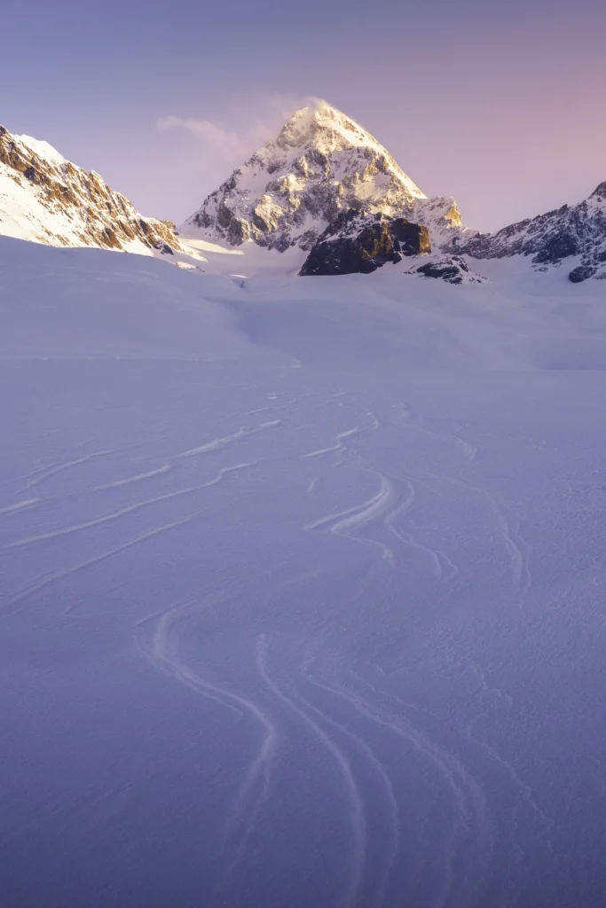 gran zebru invernale