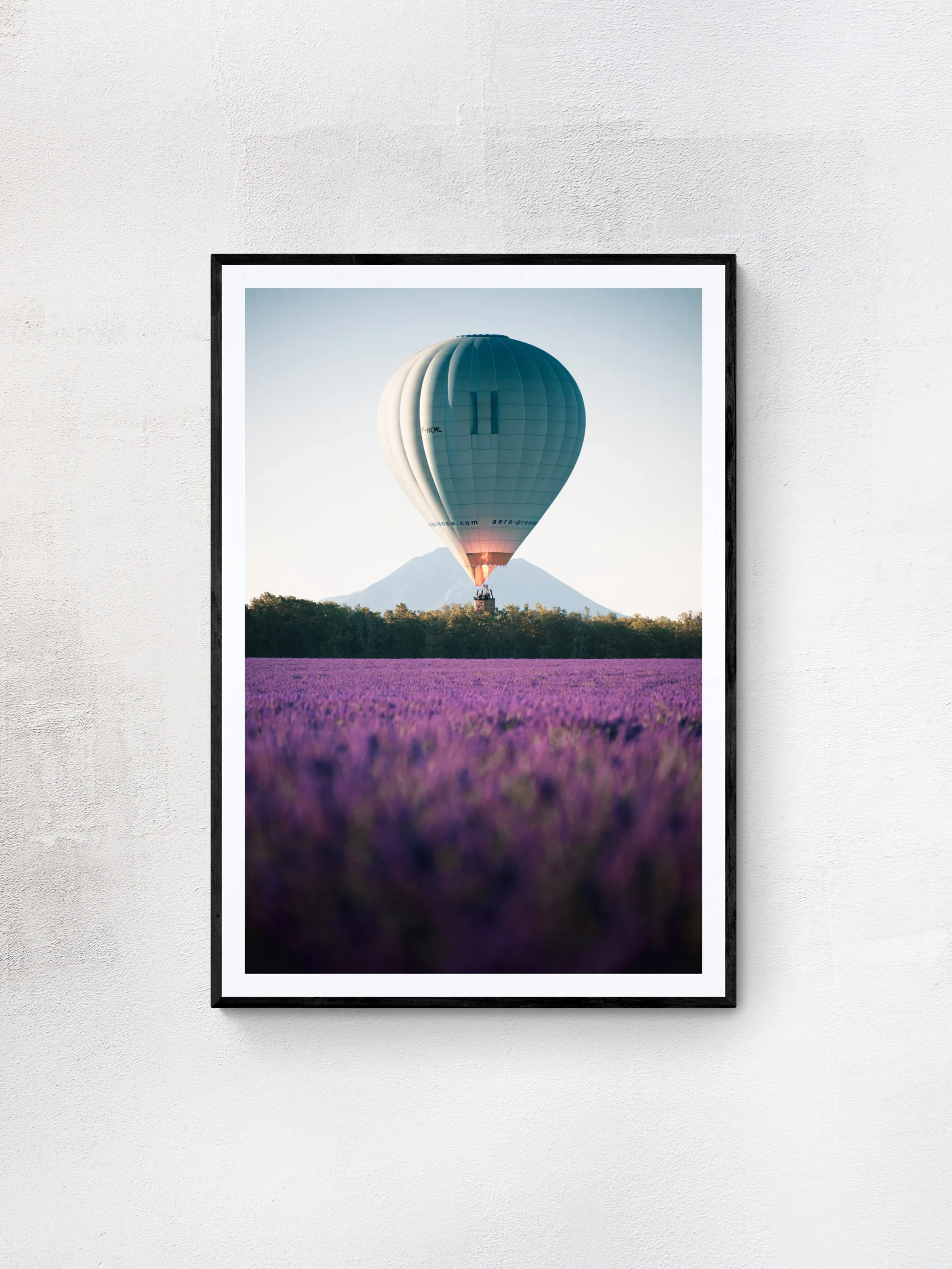 Mongolfiera Provenza 